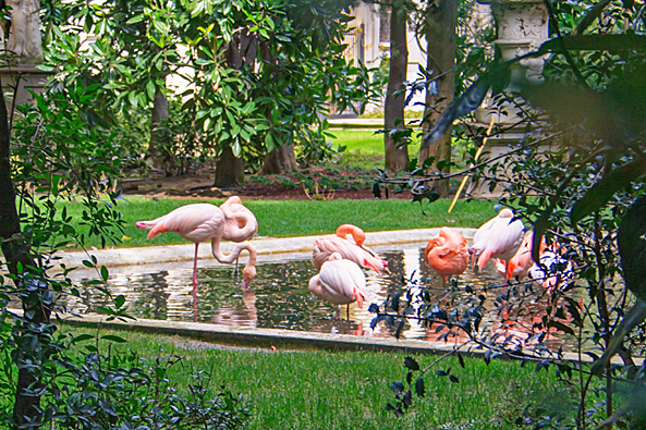 Flamingos in Mailand