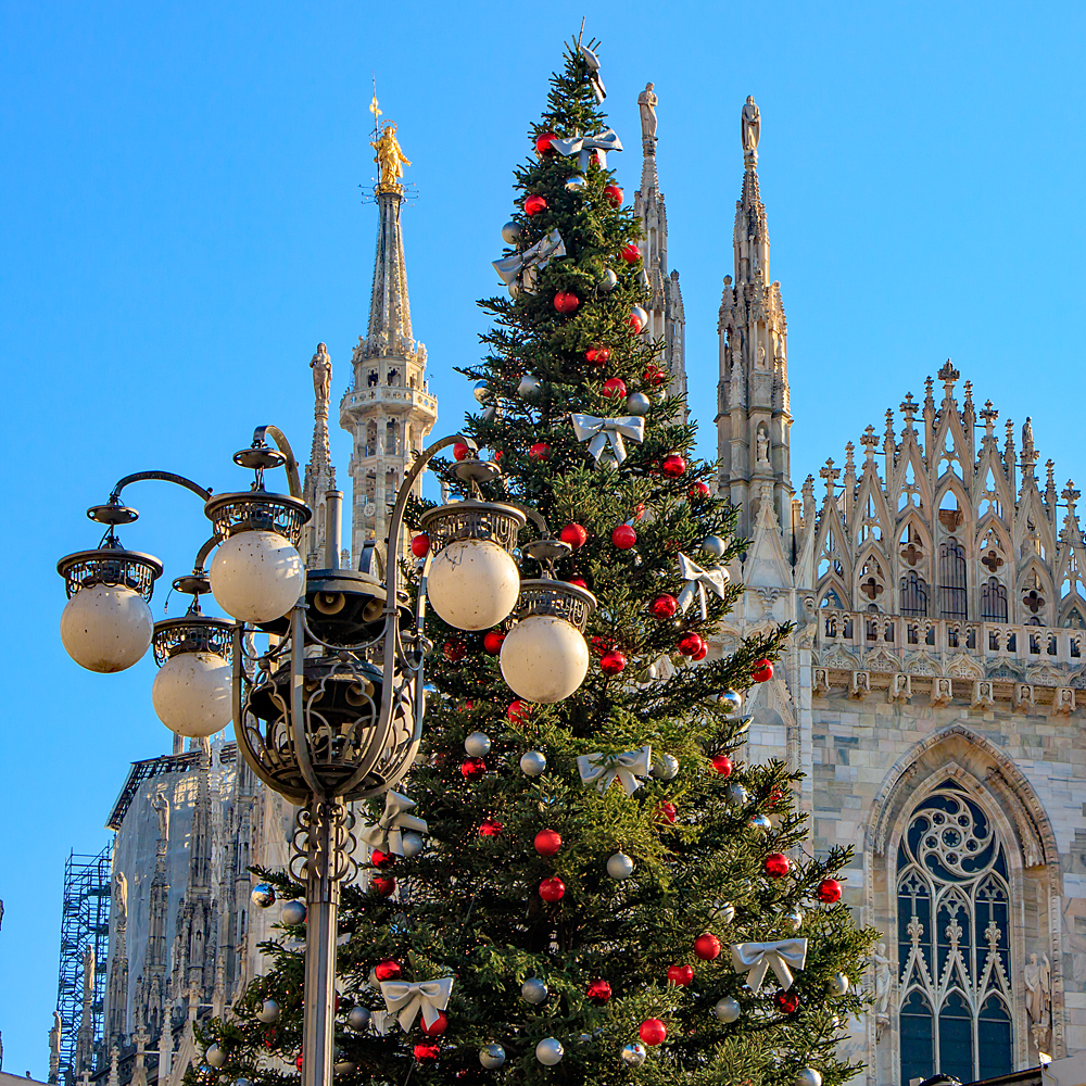 Weihnachtsbaum auf dem Domplatz